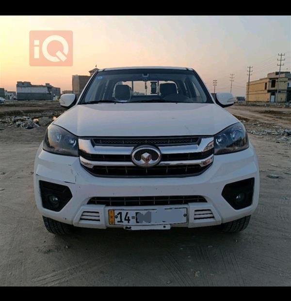 جريت وول وينجل 2025 للبيع في العراق - أبو الخصيب